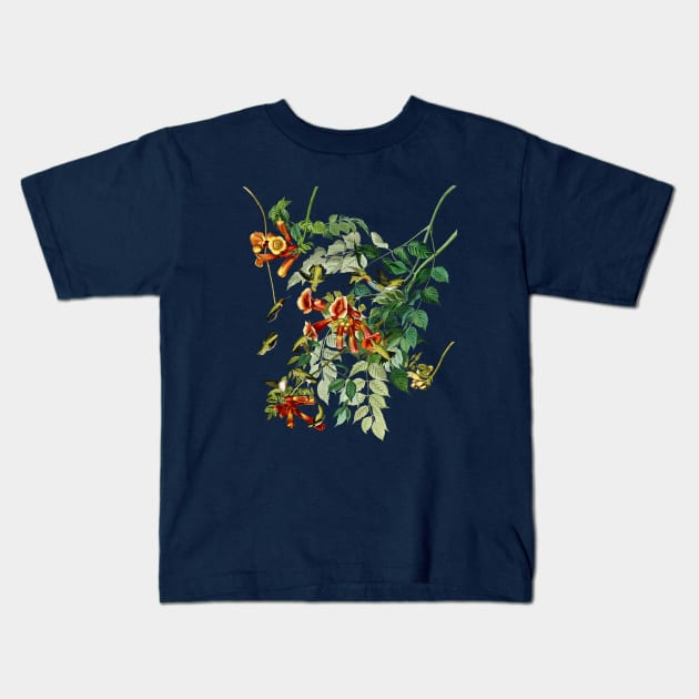 Audubons Ruby-throated Humming Bird Kids T-Shirt by Dystopianpalace